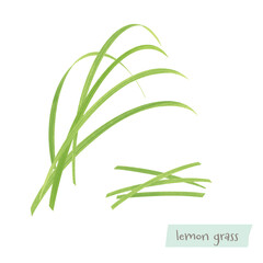 レモングラスの水彩イラスト
