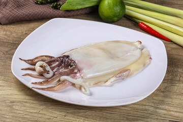 Raw fresh cuttlefish for cooking