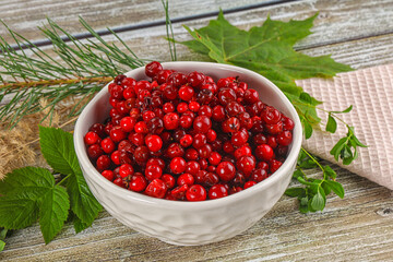 Natural organic wild forwst lingonberry