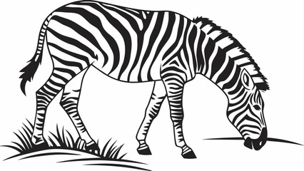 A zebra grazing in a field with black and white stripes and a short mane in a simple line drawing style silhouette
