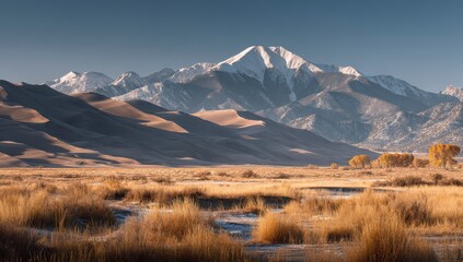 Snowy peaks, golden plains. Vast landscape with snow-capped mountains, arid plains, and autumnal grasses