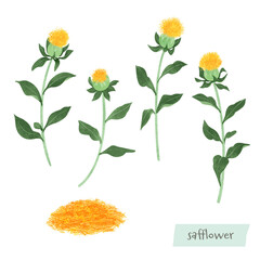 紅花と乾燥花びらの水彩イラスト
