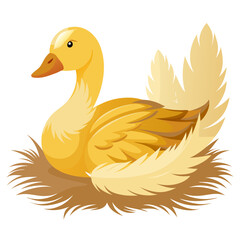 duck isolated on white