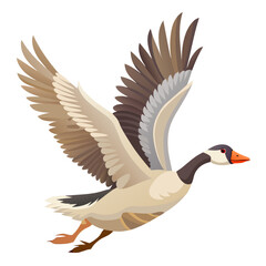 goose isolated on white