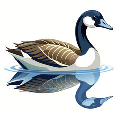 duck on white background