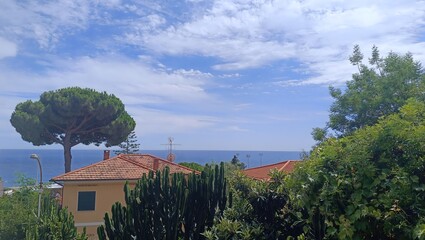 Mediterranean Sea View from a Sunny Villa with Pine and Lush Greenery