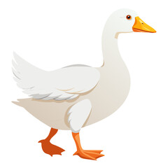 duck isolated on white