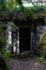 Naklejka premium old abandoned house and door in the forest