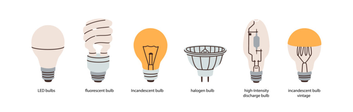 Light bulbs, electric lamp types. LED, fluorescent, incandescent, halogen and HID lighbulbs, modern and vintage electricity, illumination. Flat vector illustrations isolated on white background