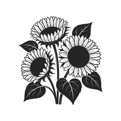 Three Sunflowers With Leaves Black And White