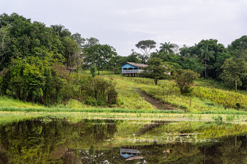 River boat trip at Parana do Mamori in the Amazon rainforest about 100 km south of Manaus in Brazil