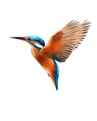 Kingfisher soaring through the air with vibrant feathers and outstretched wings in a natural habitat