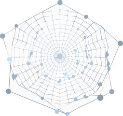 Obraz premium spider web design