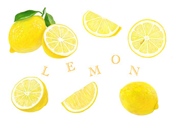 レモンのセット素材