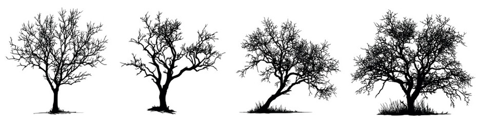 Set of dry tree silhouettes. Spooky Halloween elements. Dry tree branches in black silhouette. Poster holiday background template and Halloween cards. Vector illustration.