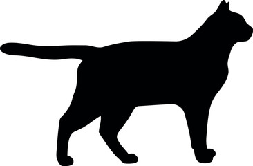 Standing black cat silhouette with a straight tail, a static and composed side profile vector illustration on a white background, minimal and clean.