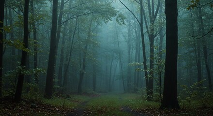 Fototapeta premium 深緑の森道 静寂な霧深く包む神秘的風景. AI Generated