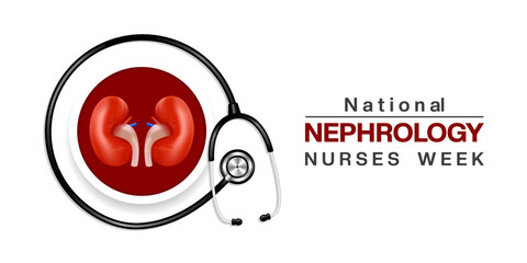 National Nephrology Nurses Week. Kidney and  stethoscope. Suitable for posters, banners and social media. White background.