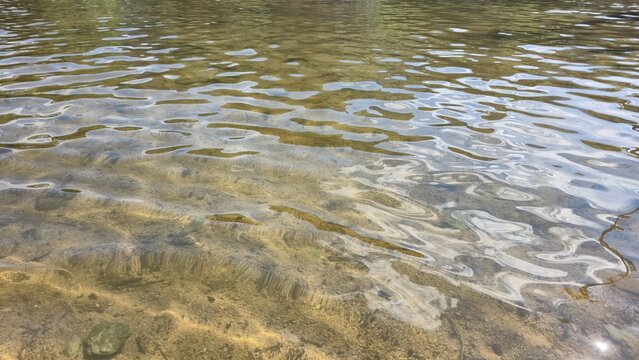 Close-up of transparent shallow river water with visible riverbed and soft ripples