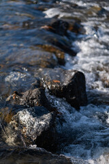 The river rushed over the rocks, creating a spray of mist in the bright sunlight. The spray sparkled in the sun, creating a beautiful sight.
