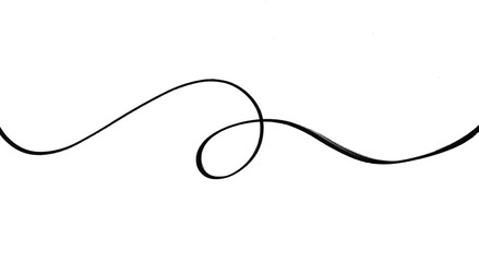 Elegant Black Curved Line Decoration on White Background