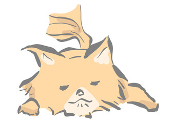 寝ている小型犬