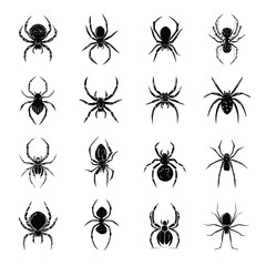 Vector silhouette set of Halloween Spider isolated in White background, silhouette Set, Halloween theme, Vector illustration 