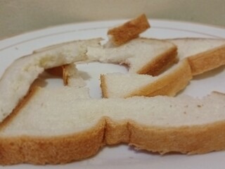 bread crumbs on the white plate