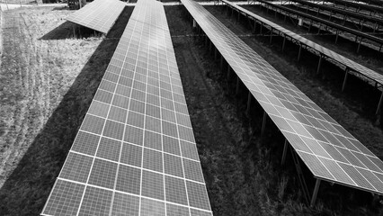 Drone photograph showing long rows of solar panels in a large-scale solar farm, captured in monochrome for a striking geometric effect