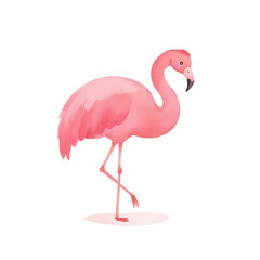Obraz premium a beautiful pink watercolor flamingo isolated on a transparent background