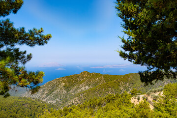 Fototapety na wymiar - Fototapeta24.pl