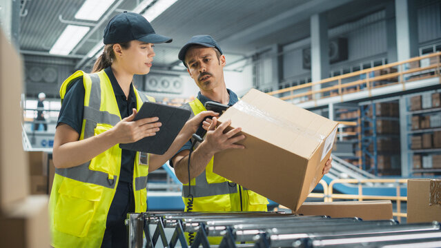 Caucasian Female Stocking Associate And Male Warehouse Worker Talking, Using Tablet In Logistics Facility. Woman Using Barcode Reader, Man Loading Cardboard Boxes On Automated Conveyor Belt