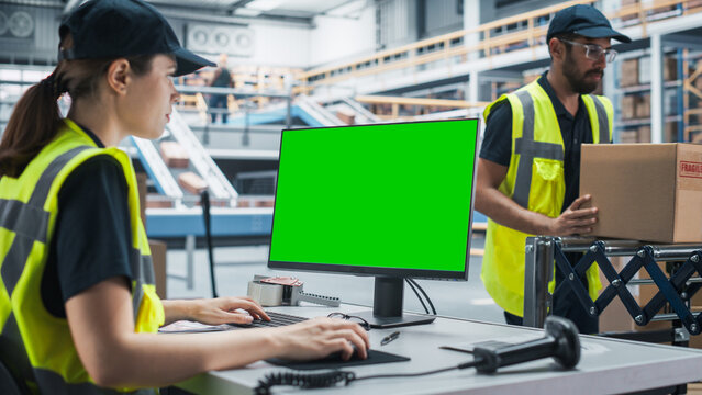 Caucasian Female Stocking Associate Using Green Screen Chromakey Desktop Computer In Distribution Warehouse. Male Colleague Loading Cardboard Boxes On Automated Conveyor Belt In Sorting Center
