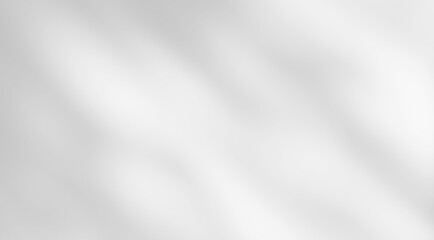 Shadow of leaves tree plant overlay on white wall. Sunlight effect shadow on the wall. Minimal blurred backdrop backgrounds. Summer tropical surface background.