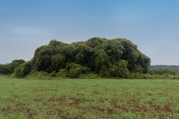 Sky-focused landscape photography