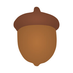 acorn vector
