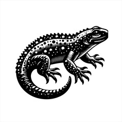Obraz premium Detailed black and white illustration of a spiny lizard