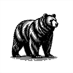 Obraz premium Stylized black and white illustration of a standing bear