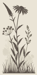 Minimilist silhouette of assorted wildflowers and grasses in a field against a light background design element vector