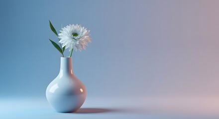 A single delicate white daisy in a minimalist white vase illuminated by soft blue and pink studio lighting	