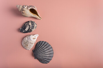 A flat lay composition of four assorted seashells arranged in a vertical line on a soft peach background. 