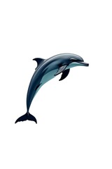 Obraz premium A dolphin leaps gracefully out of the water against a white background