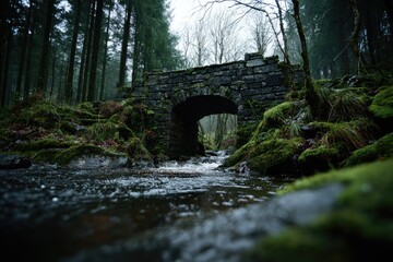 Stone arch bridge over a mossy stream in a dark forest