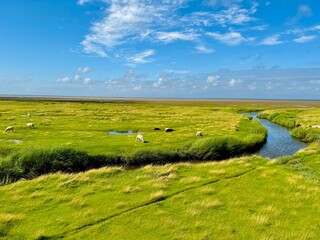 Mandø one of the Danish Wadden Sea islands