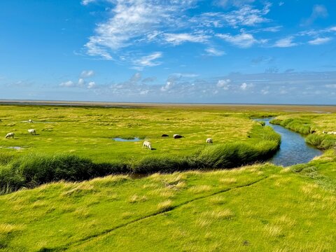 Mand&oslash; one of the Danish Wadden Sea islands