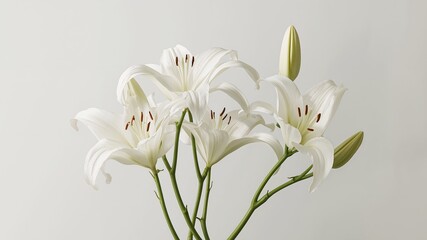 Fototapeta premium Elegant Bouquet of White Lilies with Bud on Light Background, Minimalist Composition