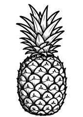Hand-drawn pineapple illustration in black and white style  