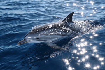 Bottlenose dolphin riding bow wave with sparkling sun reflections, marine wildlife poster for ocean protection