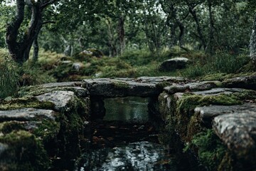 A mossy stone bridge over a small, flowing stream in a lush forest