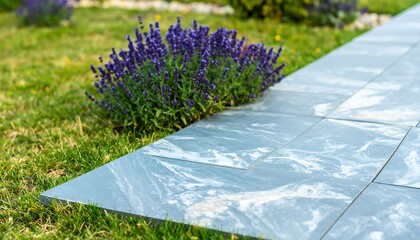 Garden path with lavender